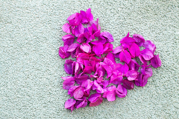 Heart shaped bougainvillaea leaves