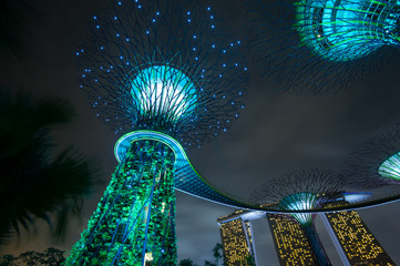 Singapore travel destination and landmark - Supertree Grove Gardens by the Bay