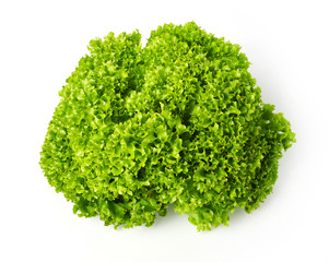 Fototapeta premium Salad