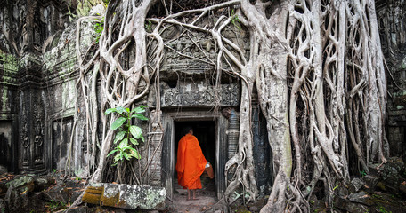 Fototapeta premium Monk in Angkor Wat Cambodia. Ta Prohm Khmer ancient Buddhist temple in jungle forest