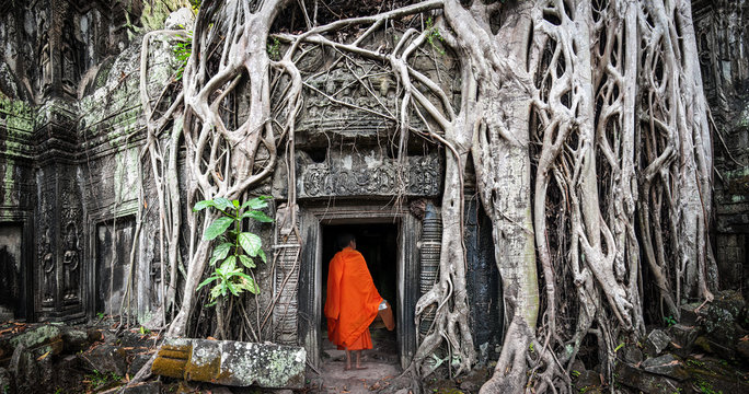 Monk in Angkor Wat Cambodia. Ta Prohm Khmer ancient Buddhist temple in jungle forest