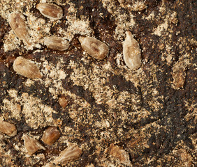 Close-up bread crust texture
