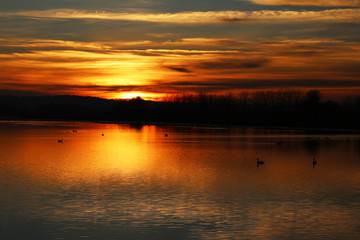 le soir sur un &eacute;tang