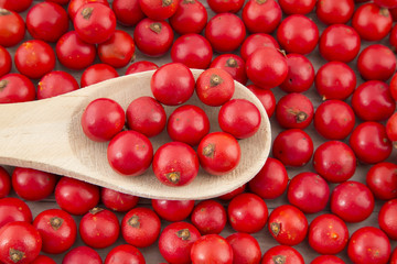 Corozo deliciosa fruta tripical.