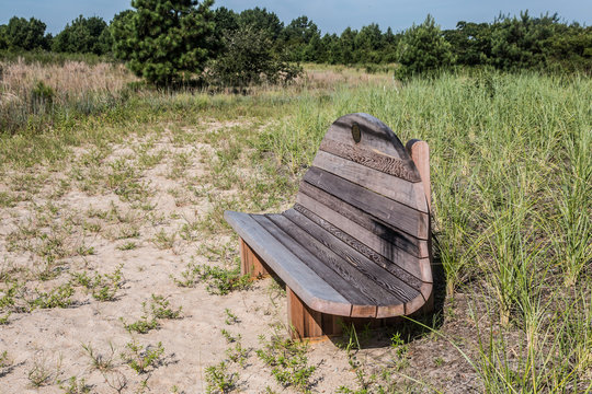 Wooden Bench on trail at Pleasure House Point natural area which is south of the Chesapeake Bay in Virginia Beach, Virginia.