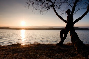 Man on tree. Silhouette of  lone man sit on branch of birch tree at sunset at shoreline.