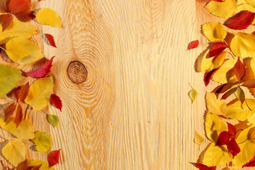 Autumn leaves on light wooden background