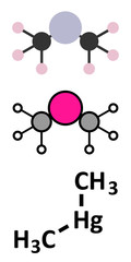Dimethylmercury  (organomercury compound) molecule.