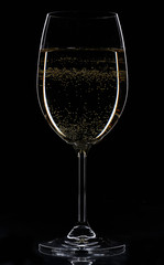 white wine in glass