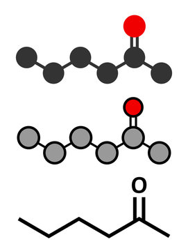 Methyl butyl ketone (MBK, 2-hexanone) solvent molecule.
