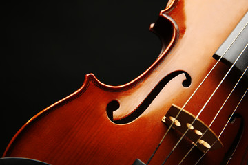 Violin on dark background