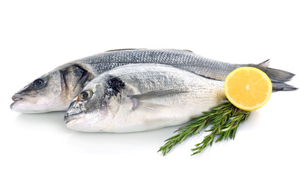 Fresh fish with lemon and rosemary isolated on white background
