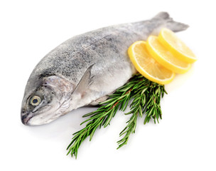 Fresh sea fish with lemon and rosemary isolated on white background