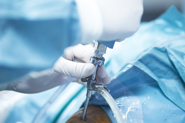 Orthopedics knee surgery hospital operation