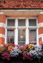 Renaissance window with colourful flowers