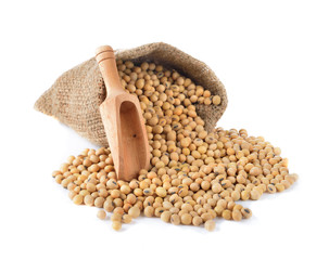 soybean on white background