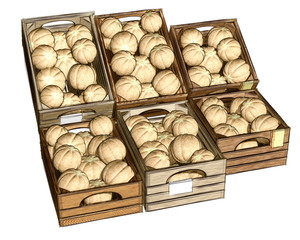 cassetta di meloni retati