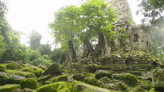 Beng melea temple Unesco world heritage site  dolly  