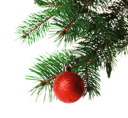 Obraz na płótnie Canvas Red bauble on a Christmas tree branch, isolated on white