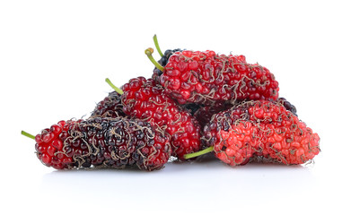 Mulberry isolated on white background