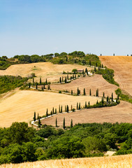 Landstrasse bei La Foce, Toskana