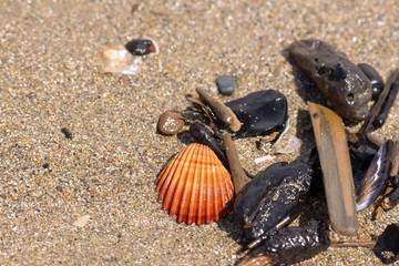 rubbish on beach