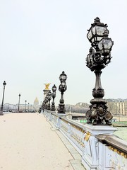 Fototapeta premium Paris, bridge.