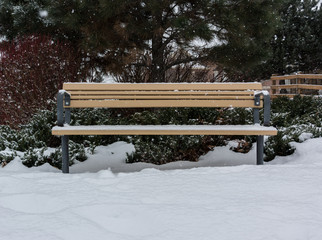 Park Bench in Snow