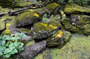 Obraz na płótnie Canvas Landscape with huge mossy boulders on a mountain