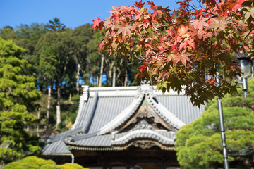 Autumn Shuzenji