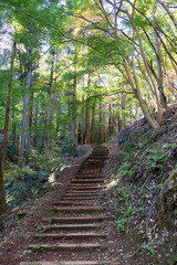 Fototapeta premium Spacer do Bairin, Shuzenji