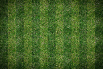 lawn top view background