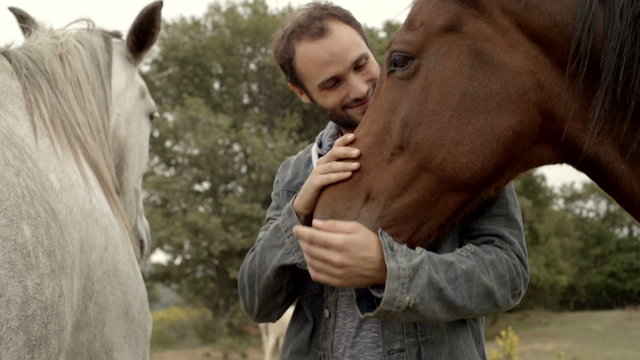 Young man stroke and hugs a horse outdoor  slow motion  