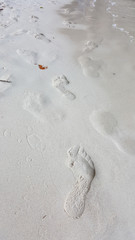 Fototapeta na wymiar footprints in sand beach