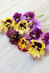 パンジー　ムーランフリルのアレンジ