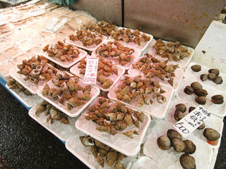 冬の港の市場のツブ貝と赤貝