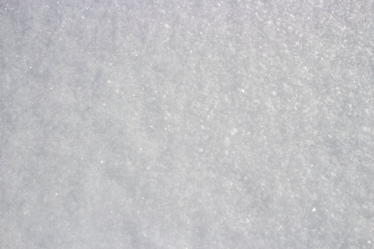 Snow Flakes close up