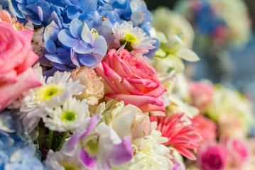 Closeup flower for decoration