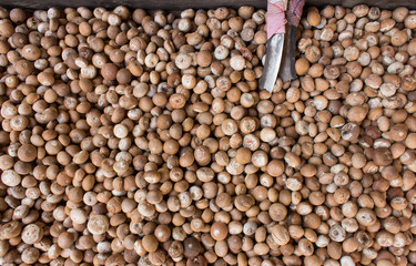 Areca nut with knife