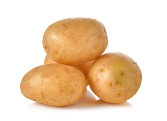 potato on white background
