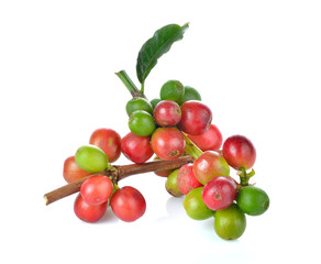coffee beans on white background