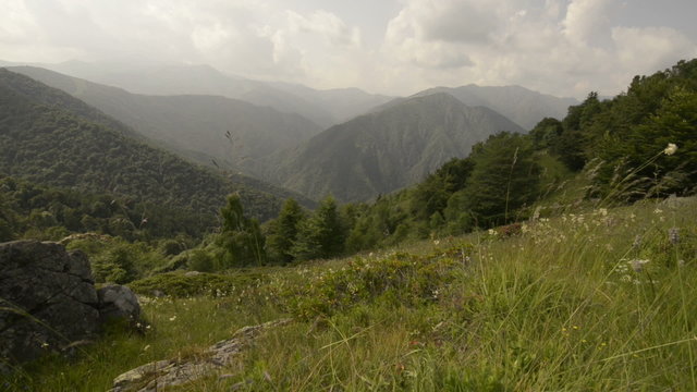 Mountain fiels in summer day  dolly  