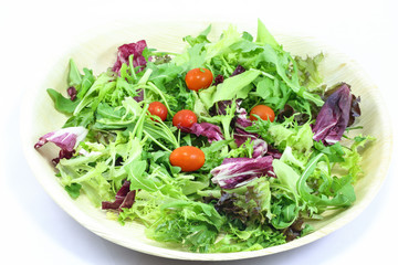 Healthy Garden Salad