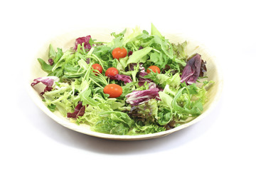 Healthy Garden Salad