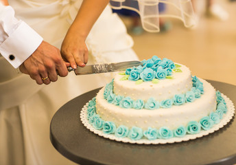 Obraz na płótnie Canvas bride and groom is cutting their wedding cake