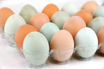 real colorful chicken eggs in the container