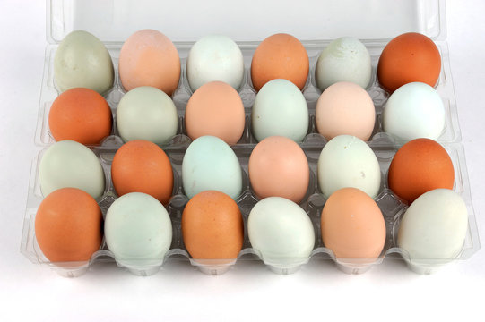 real colorful chicken eggs in the container