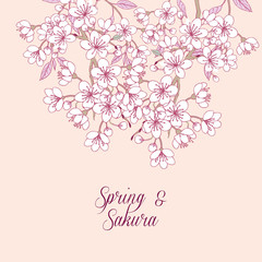 Background with sakura. Hand drawn spring blossom trees. Vector illustration with cherry blossoms.