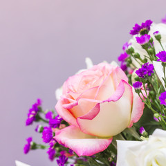 Flower roses background