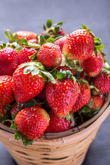 strawberries fresh from garden in basket